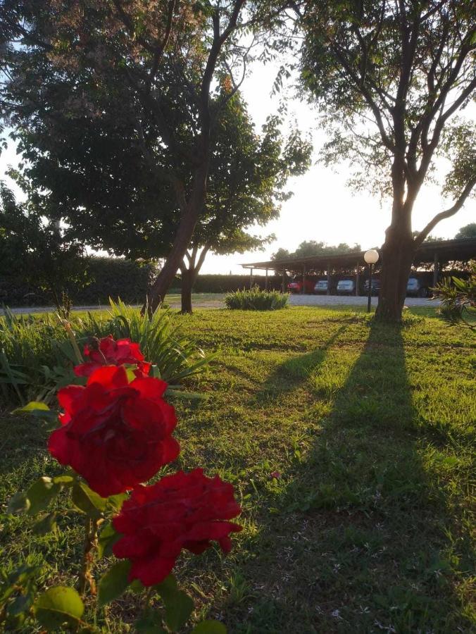 Agriturismo Podere Santa Virginia Albinia Kültér fotó